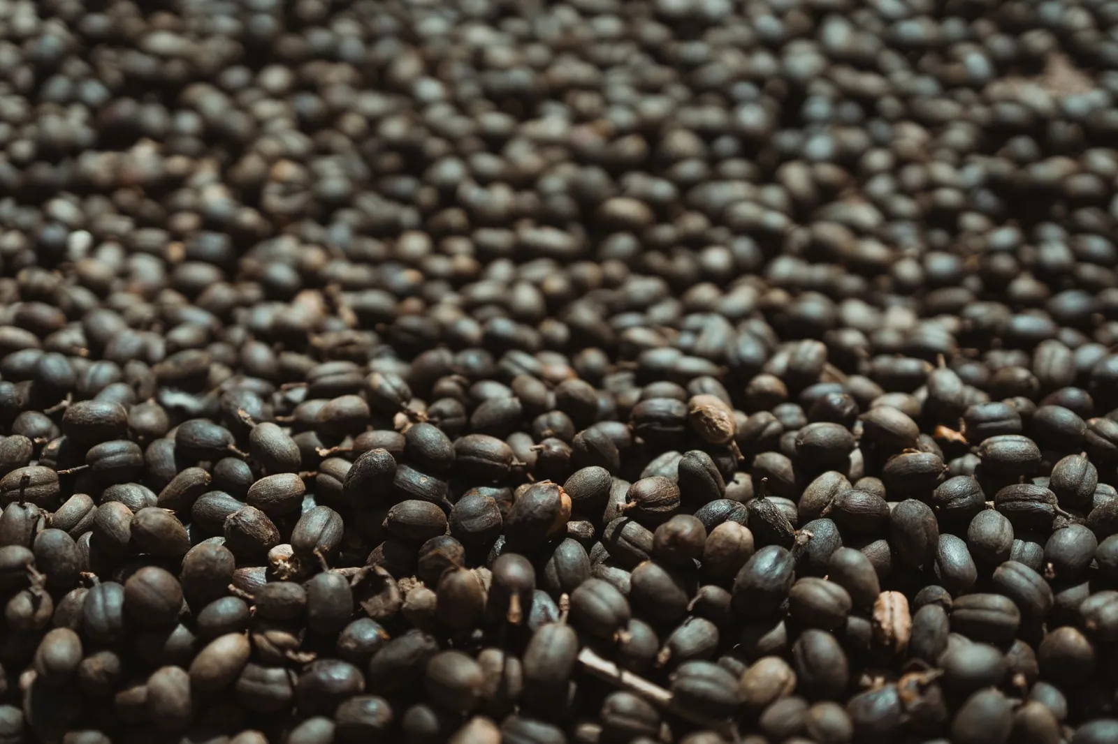 A detailed photograph of dried brown coffee beans, focusing on texture and natural hues. Stock photo illustrating Vintage Coffee And Beverages' earning call story.