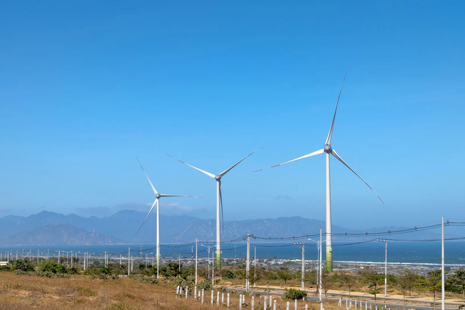 Scenery view of wind turbines in row on terrain with plants against ocean and mounts in daytime. Stock photo illustrating Accent Microcell's expansion story.