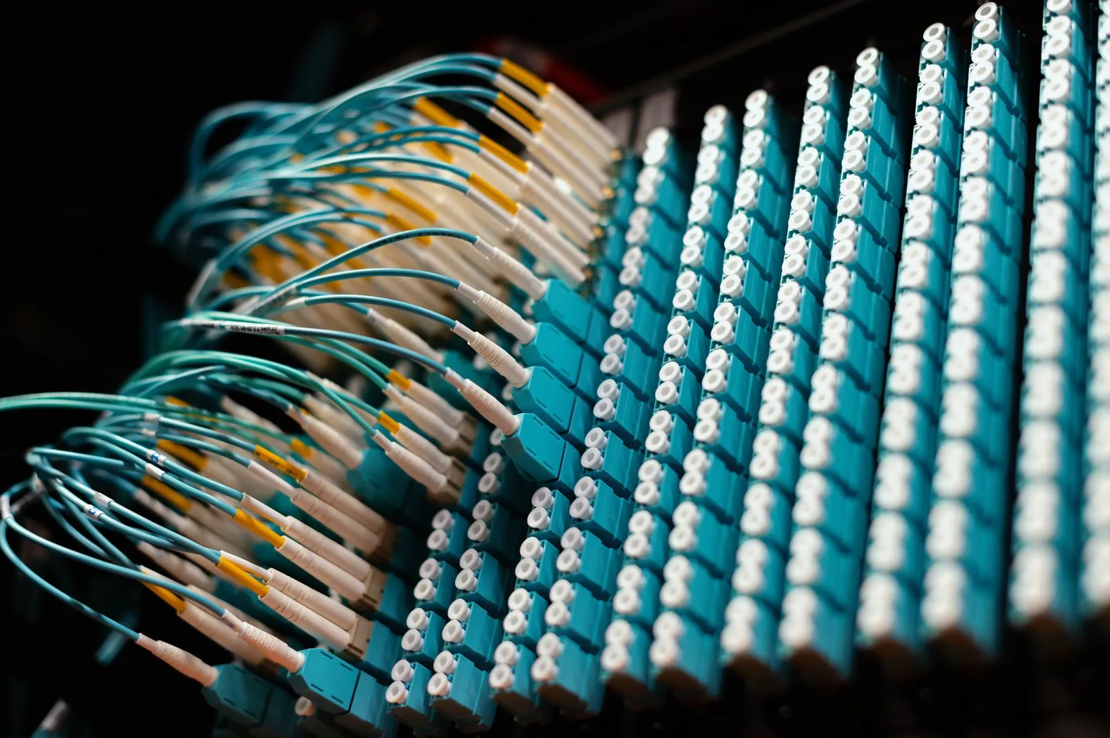 From below of long thin identical blue cables connected to small round electrical connectors. Stock photo illustrating Sterlite Technologies' fund raise story.