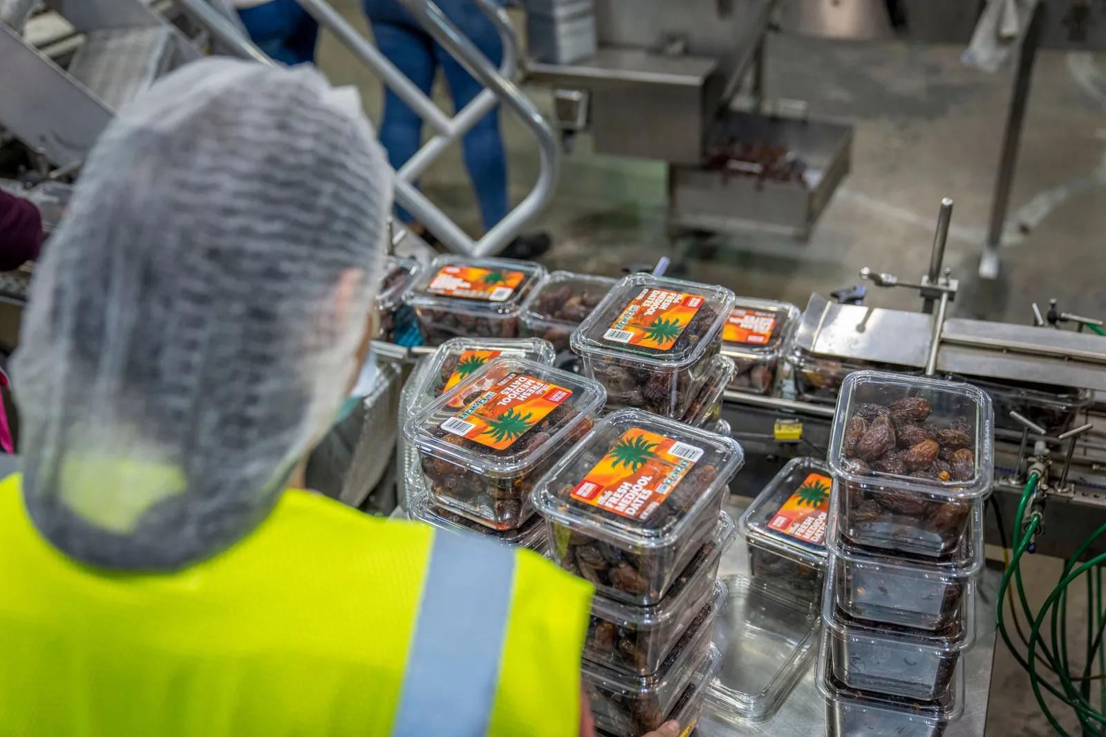 Worker managing date packaging in a modern industrial facility, ensuring quality control. Stock photo illustrating Mukka Proteins' regulatory approval story.
