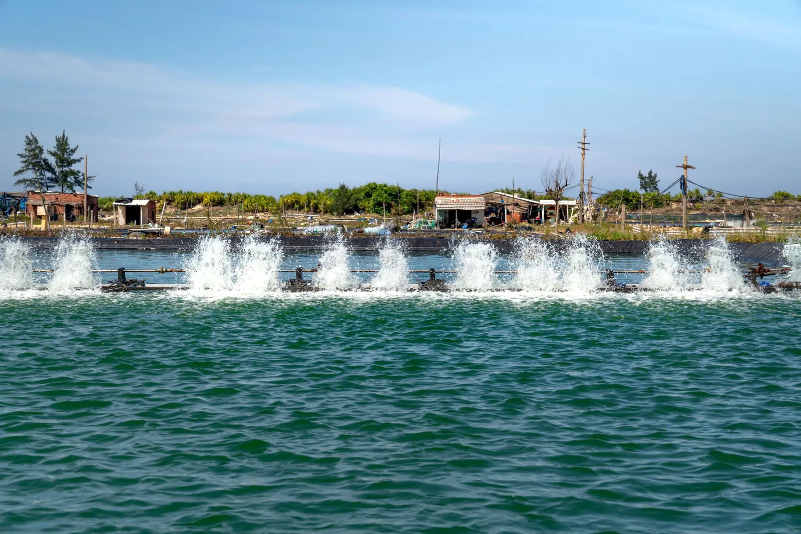 Aquaculture farm aerators creating ripples and splashes, under clear blue skies. Stock photo illustrating Zeal Aqua's fund raise story.