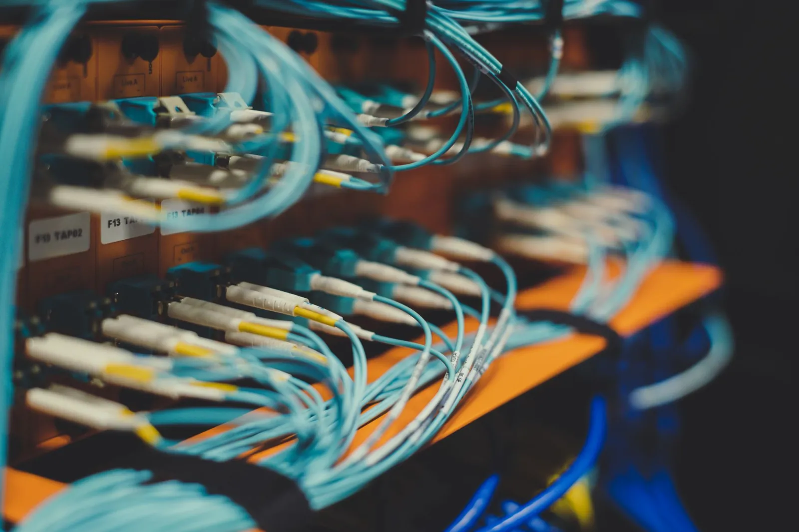 Closeup of many cables with blue wires plugged in modern switch with similar adapters on blurred background in modern studio. Stock photo illustrating HFCL's earning call story.
